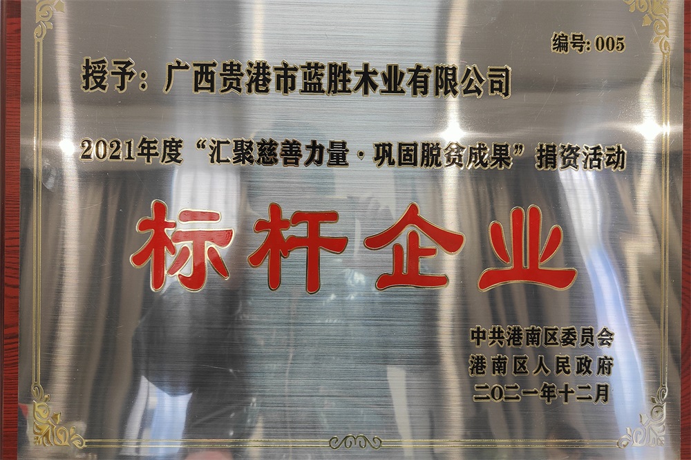 2021鞏固脫貧成果標(biāo)桿